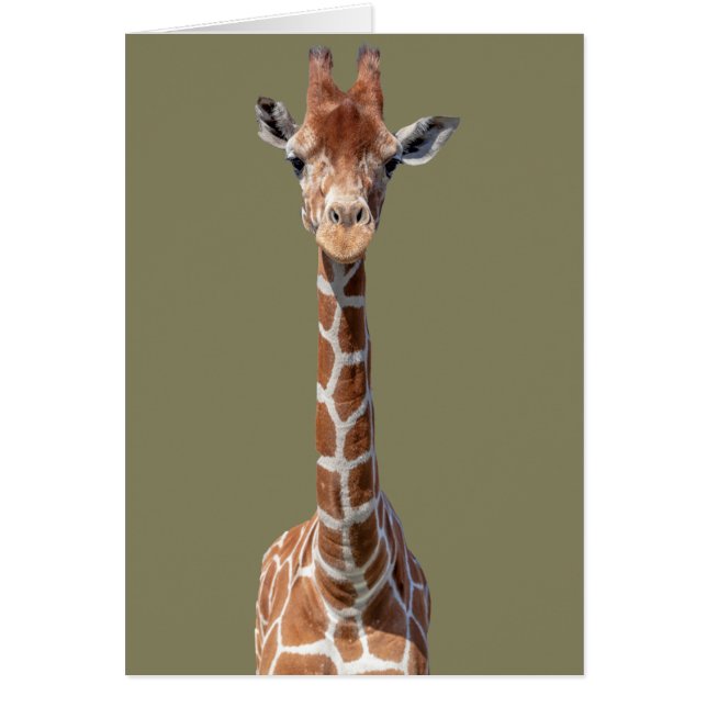 Cute giraffe face (Front)