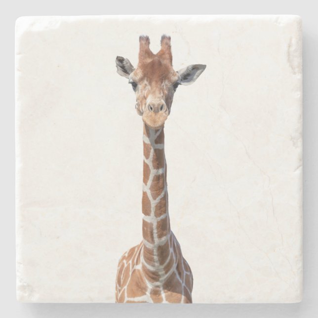 Cute giraffe face stone coaster (Front)