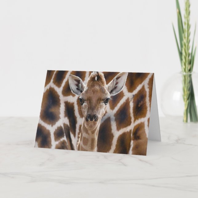 cute giraffe happy birthday card (Front)