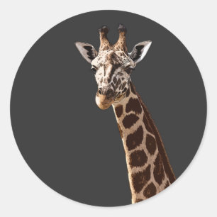 Cute Giraffe Is Looking At You! Classic Round Sticker