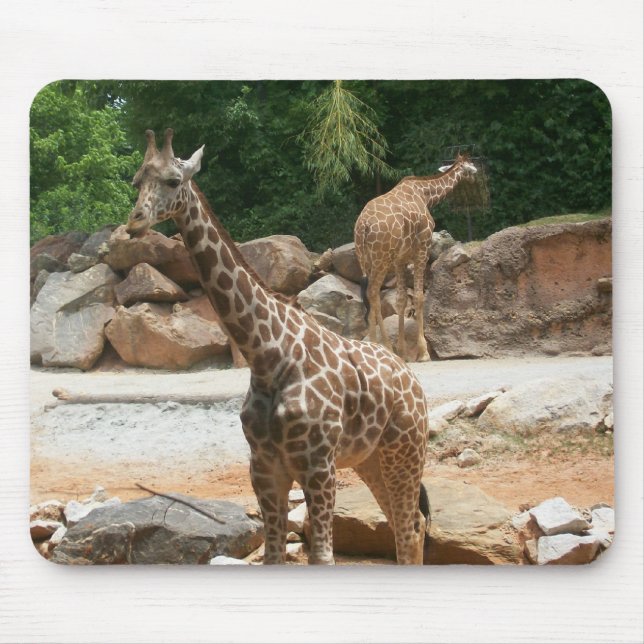Cute Giraffe Mousepad (Front)