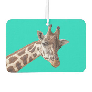 Cute Giraffe Portrait on Teal Turquoise Car Air Freshener