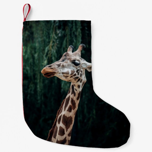 CUTE GIRAFFE PORTRAIT SMALL CHRISTMAS STOCKING (Front)
