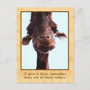 Cute Giraffe Postcard