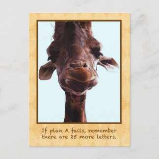 Cute Giraffe Postcard