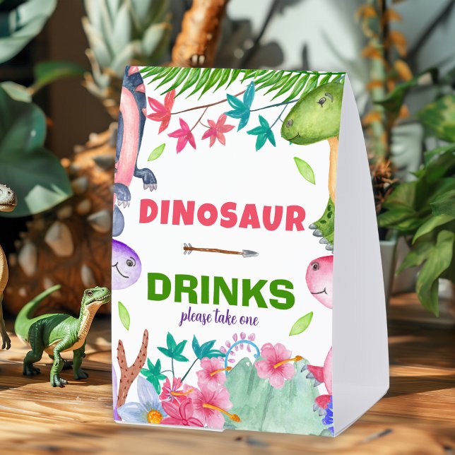 Cute Girl Dinosaur 1st Birthday Party (Creator Uploaded)