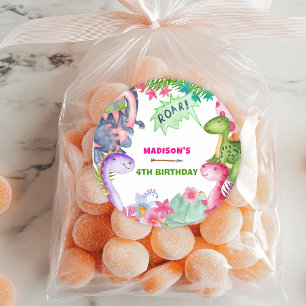 Cute Girl Dinosaur 4th Birthday Party Classic Round Sticker