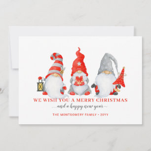Cute Gnome Trio Christmas Holiday Card