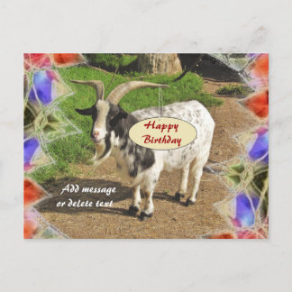 Cute Goat Abstract Frame Happy Birthday Postcard