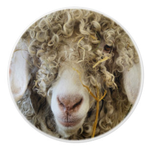 CUTE GOAT CERAMIC KNOB