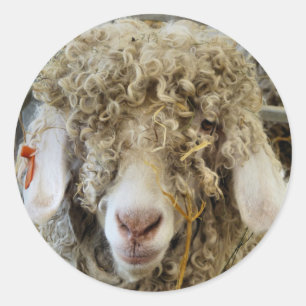 CUTE GOAT  CLASSIC ROUND STICKER