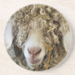 CUTE GOAT   COASTER