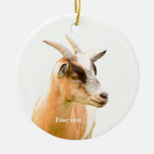 Cute goat portrait photography ceramic ornament