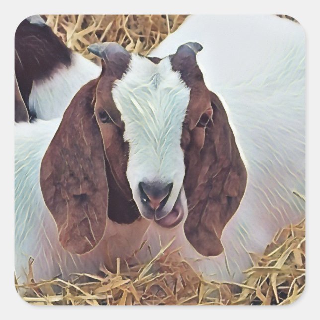 CUTE GOAT SQUARE STICKER (Front)