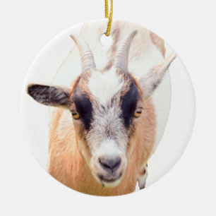 Cute goat straight look ceramic ornament