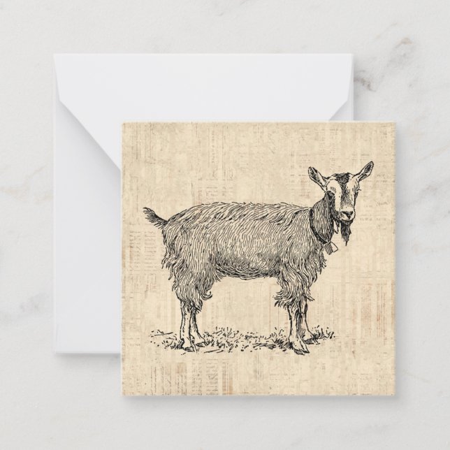 Cute Goat with Bell Illustration Antique Script Card (Front)