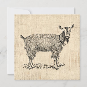 Cute Goat with Bell Illustration Antique Script Invitation