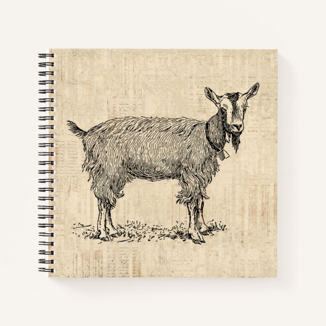 Cute Goat with Bell Illustration Antique Script Notebook (Front)