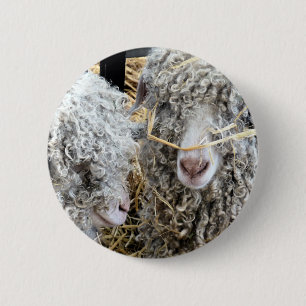 CUTE GOATS  6 CM ROUND BADGE
