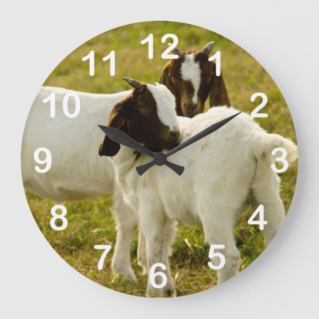 Cute Goats Boer Snuggling Animals Large Clock (Front)