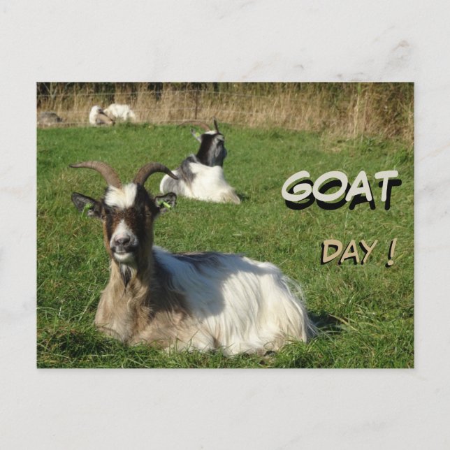Cute Goats Cust. Text Goat Day Postcard (Front)
