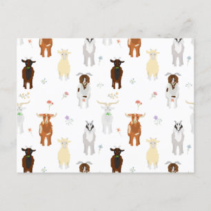 Cute Goats Farm Animals Holiday Postcard
