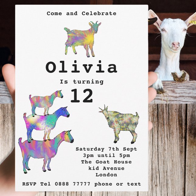 Cute Goats Girls Birthday Party Colourful (Cute goats colorful farm animal art 12th birthday party invitation)