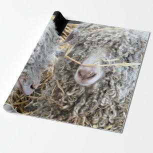 CUTE GOATS   WRAPPING PAPER