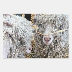 CUTE GOATS  WRAPPING PAPER SHEET