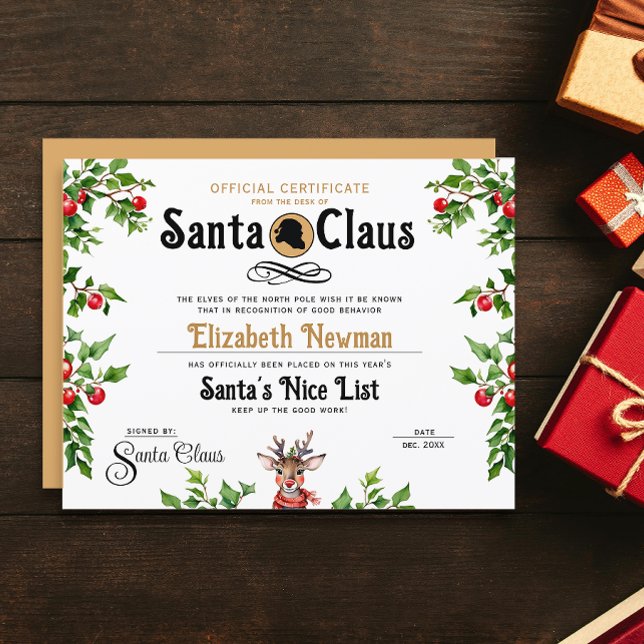 Cute Gold Santa Naughty Nice Official Certificate (Creator Uploaded)