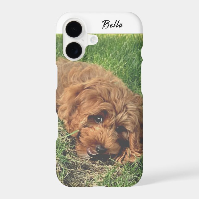 Cute Golden Doodle (Back)