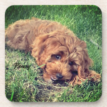 Cute Golden Doodle Beverage Coaster