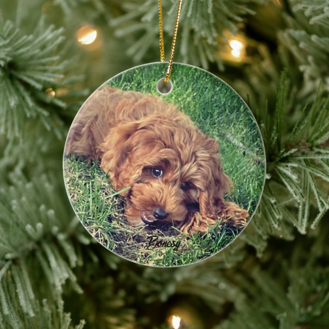 Cute Golden Doodle Ceramic Ornament (Tree)