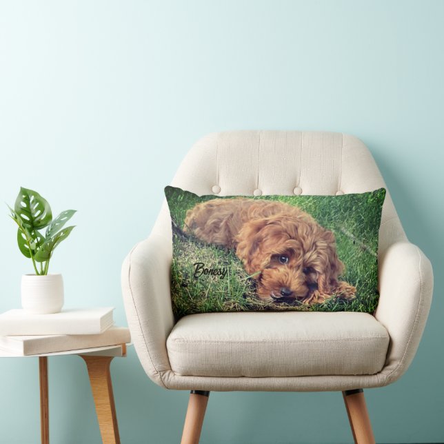 Cute Golden Doodle Lumbar Cushion (Chair)