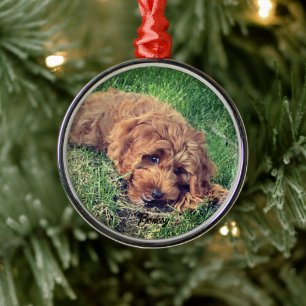 Cute Golden Doodle Premium Metal Ornament