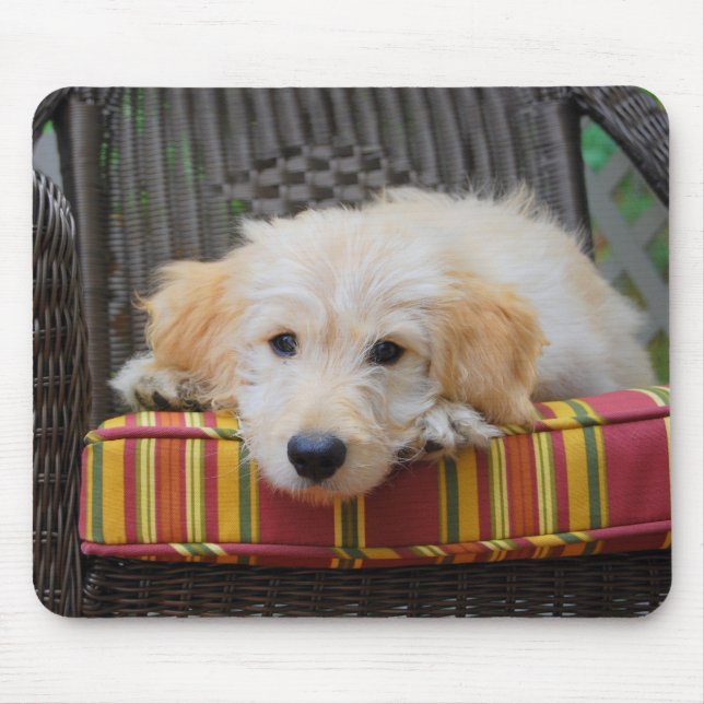 Cute Golden Doodle Puppy Mousepad (Front)