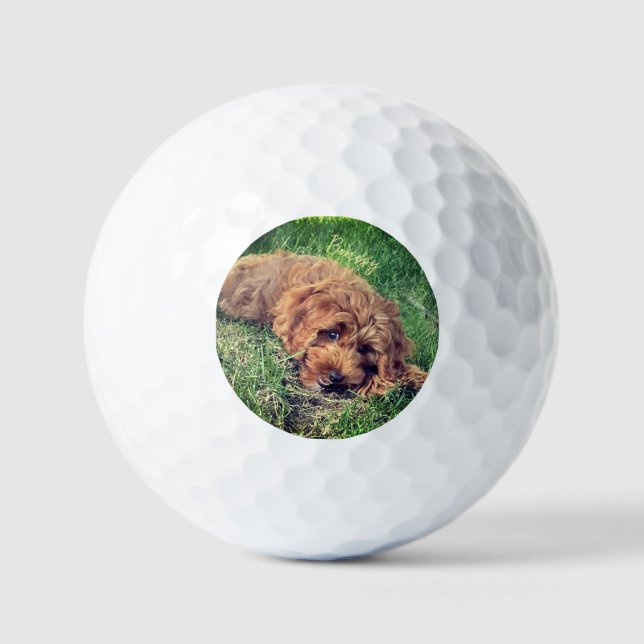 Cute Golden Doodle With Text Golf Balls (Front)