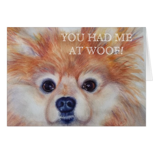 CUTE GOLDEN POMERANIAN (Front Horizontal)