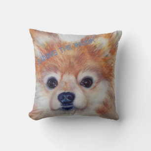 CUTE GOLDEN POMERANIAN CUSHION