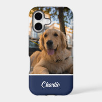 Cute Golden Retriever