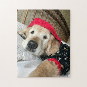 Cute Golden Retriever Dog in Pajamas Jigsaw Puzzle