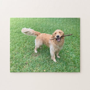 Cute Golden Retriever Dog Photograph Green Nature Jigsaw Puzzle