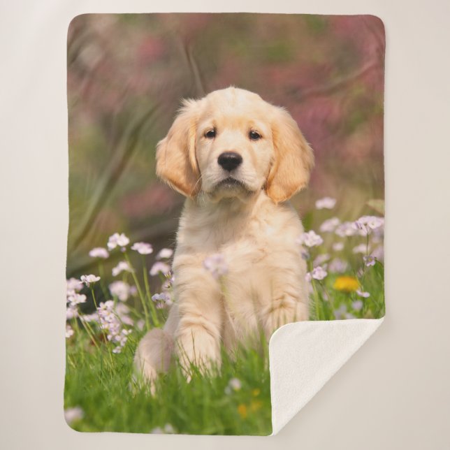 Cute Golden Retriever Dog Puppy Face Animal Photo Sherpa Blanket (Front)