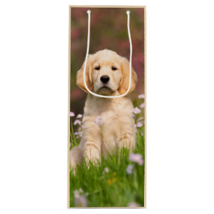 Cute Golden Retriever Dog Puppy Face Animal Photo Wine Gift Bag