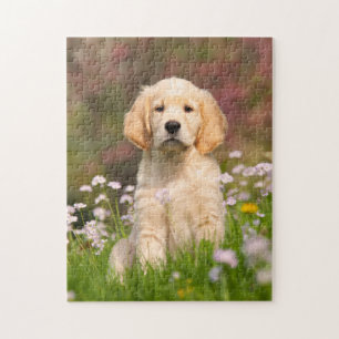 Cute Golden Retriever Dog Puppy Game 11x14 Jigsaw Puzzle