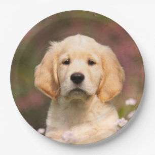Cute Golden Retriever Dog Puppy, Happy Party Paper Plate