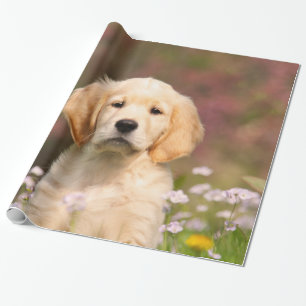 Cute Golden Retriever Dog Puppy Portrait, Gift Wrapping Paper