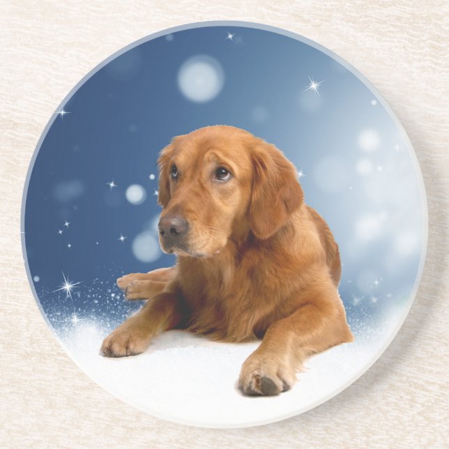 Cute Golden Retriever Dog Sitting in Snow Stars Coaster (Front)
