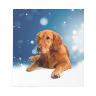 Cute Golden Retriever Dog Sitting in Snow Stars Notepad