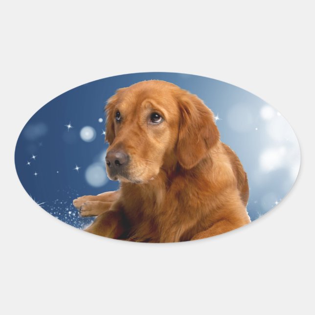 Cute Golden Retriever Dog Sitting in Snow Stars Oval Sticker (Front)